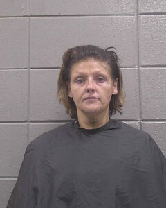 mugshot of SHAINA  MORGAN
