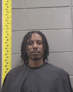 mugshot of COURTNEY  NAYLOR