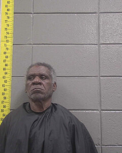 mugshot of ROBERT  NEALY