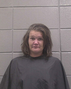 mugshot of ERICA  PAINTER