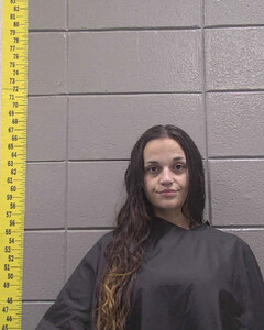 mugshot of CYNTHIA  QUEEN