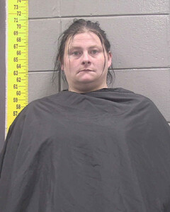 mugshot of TABITHA  REYNOLDS