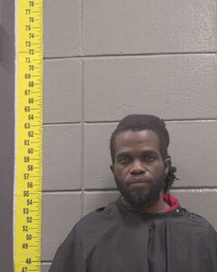 mugshot of LEE  SANDERS