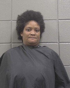 mugshot of JAMELLA  WHITE