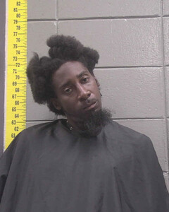 mugshot of KENNETH  YOUNG