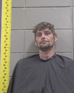 mugshot of DANNY  WILKINS