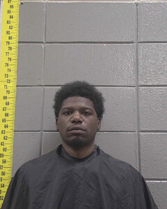 mugshot of LADARIUS  FOWLER