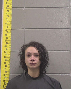 mugshot of MICHELLE  GIESLER