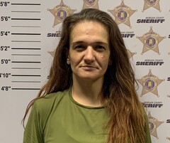 mugshot of ANDREA DAWN ADCOCK