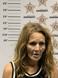 mugshot of MELANIE SMALLWOOD HARRIS