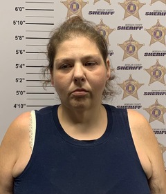 mugshot of MELISSA DIANNE BRAKEMAN SWAIN