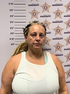 mugshot of JENNIFER LEANN CAMPBELL