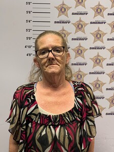 mugshot of JENNIFER LIBBY LYNN RAMIREZ