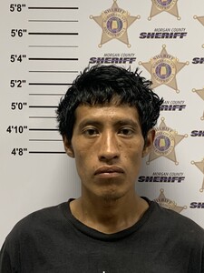 mugshot of ANDRES  CARDONA-LOPEZ