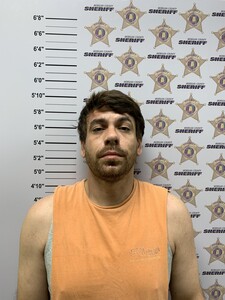 mugshot of DAVID LONIE HORTON
