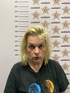 mugshot of AMANDA NICOLE MCWHORTER