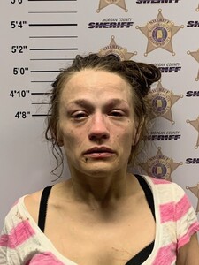 mugshot of WHITNEY PAIGE RUDD
