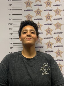 mugshot of CAILEE ANN PRINCE
