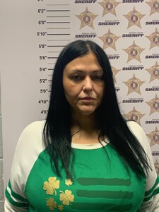 mugshot of RACHEL ANNE LINN