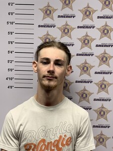 mugshot of DAVID TYLER BRASWELL