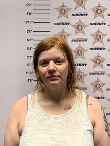 mugshot of BETH M0NICA SCHILLINGER