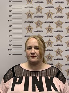 mugshot of RACHEL ELIZABETH VANDERGRIFT