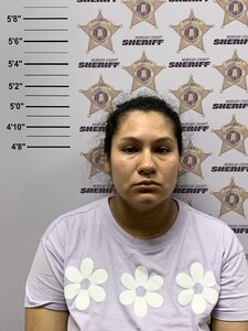 mugshot of ERIKA  MERCADO