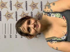 mugshot of DONNA MICHELLE DESHANNON DROSS