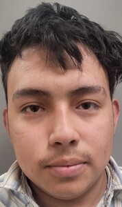 mugshot of JOSE LUIS PRIEGO-ALCASAR