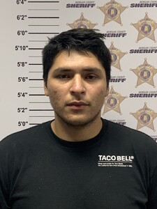 mugshot of ANJELOUSE BLAKE WILLIAMS