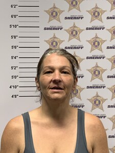 mugshot of BREANNE SHAREE LUSK