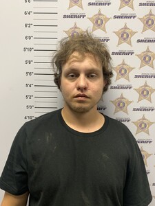 mugshot of NICHELOS CHASE VINSON