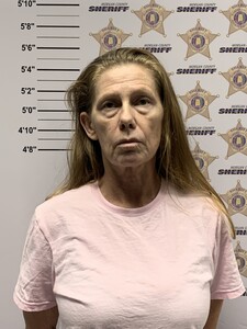 mugshot of CHERYL ANN SANDERS