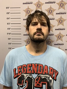 mugshot of WESLEY DALE MCELWAIN JR