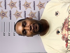 mugshot of WILLIAM LEON HILL