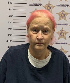mugshot of JENNIFER MARIE JOHNSON