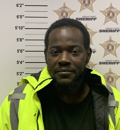 mugshot of ANDREA NAPOLEON ROBINSON