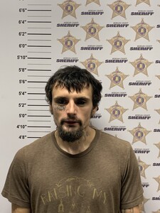 mugshot of THOMAS LEE LAYTON OWENS