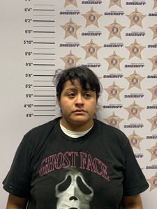 mugshot of GRABIELA  MARTINEZ