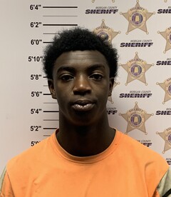 mugshot of ROBERT  PETERSON