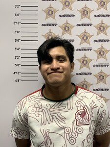 mugshot of JUAN ABIGAIL ESAU