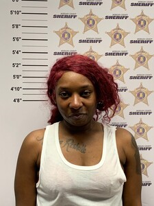 mugshot of RONISHA RISHELLE TIMMONS