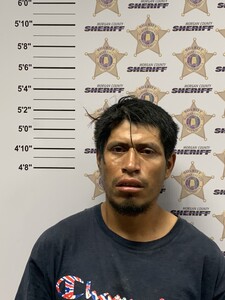 mugshot of PABLO  PEREZ