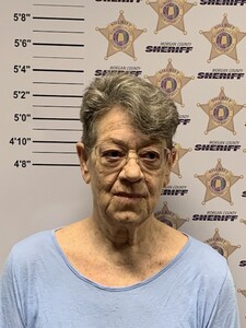 mugshot of ANDREA PACE ELMS