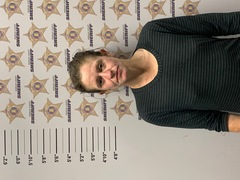 mugshot of ALLISON  REAGAN