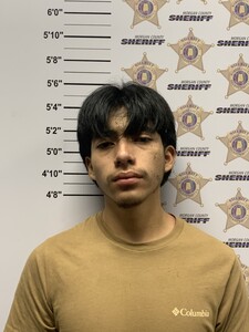 mugshot of MARIO ALEXANDER RECINOS