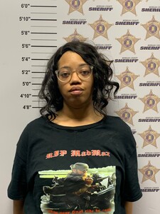 mugshot of WHITNEY LARK NIXON