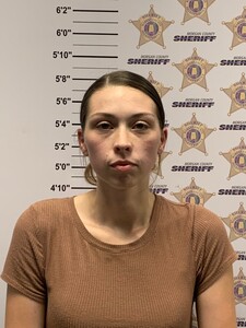 mugshot of ASHLYN NICOLE NELSON