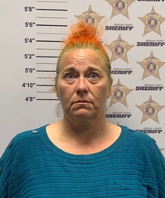 mugshot of JESSICA LYNN LEE