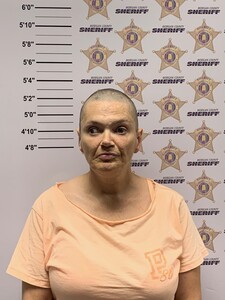 mugshot of VIRGINIA LYNN MCNUTT